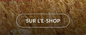 sur l'e-shop